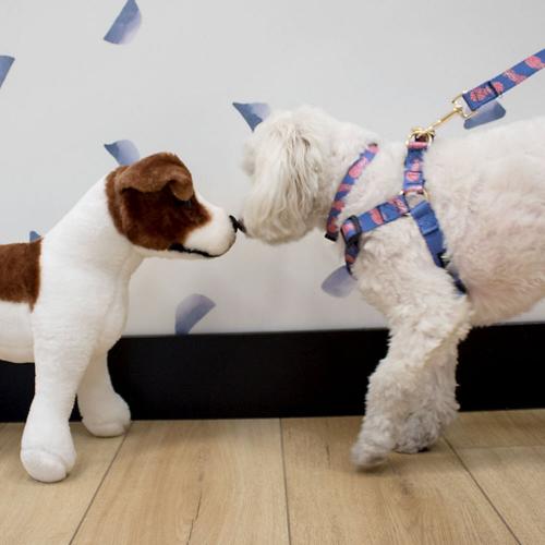 Boulevard Dog Harness in Preppy Prints  Animals & Pet Supplies > Pet Supplies > Dog Supplies > Dog Collars & Harnesses