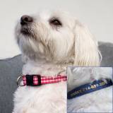 Personalized Dog Collar In Preppy Prints
