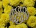Monogrammed Necklace With Cz