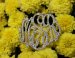 Monogrammed Necklace With Cz