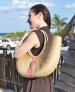 Queen Bea Extra Large Coastal Shoulder Florida Basket