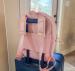 Backpack With New Trolley Sleeve 