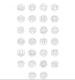 Script Font Style 