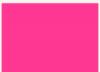 Pink Fuschia