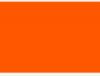 Neon Orange