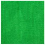 Green Textrued Fabric