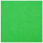Green Smooth Linen