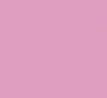 Pink Medium 43l
