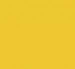 Yellow Sunshine 60