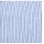 Blue And White Stripe