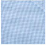 Blue Mini Gingham