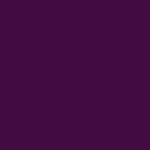 Purple Eggplant 147 D
