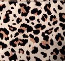 Leopard Coated Canvas