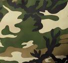 Camo Coated Canvas