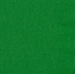 Festive Green (dinner Size Sold Out)