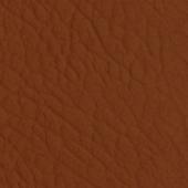 Blonde Leather