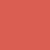 Salmon Leather