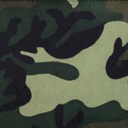 Camo