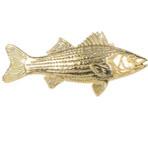 Bass