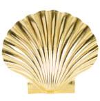 Scallop