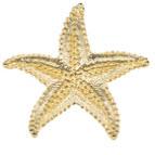 Starfish