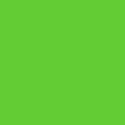 Grass Green (sold Out)