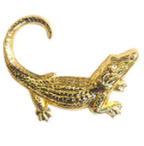 Alligator