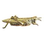 Grasshopper