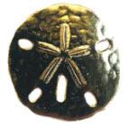 Sand Dollar