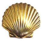 Scallop