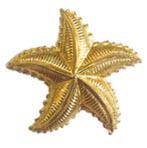 Starfish