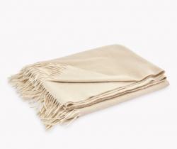 Bone And Parchment