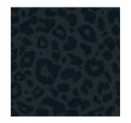 Dark Leopard