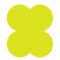Neon Yellow