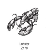 Lobster