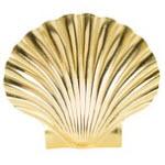 Scallop