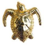 Sea Turtle