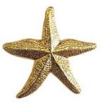 Starfish
