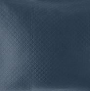 Prussian Blue