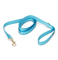 Sky Blue Gingham