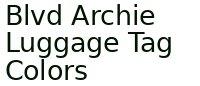 Blvd Archie Luggage Tag Colors