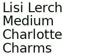 Lisi Lerch Medium Charlotte Charms