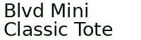 Blvd Mini Classic Tote