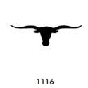 Steer