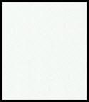 White Paper
