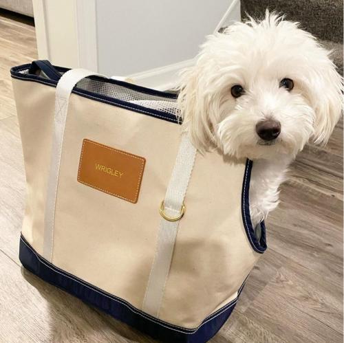 Boulevard Pets Fido Dog Carrier Tote Personalized  Animals & Pet Supplies > Pet Supplies > Dog Supplies > Dog Carriers & Crates