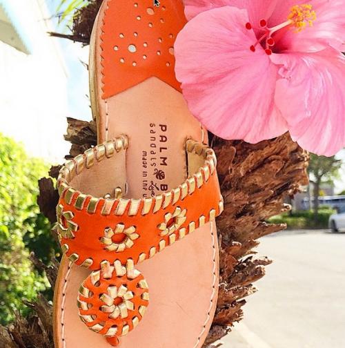 Clementine Classic Sandals with gold trim Clemintine Classic with gold trim NULL