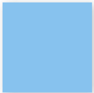 Cornflower